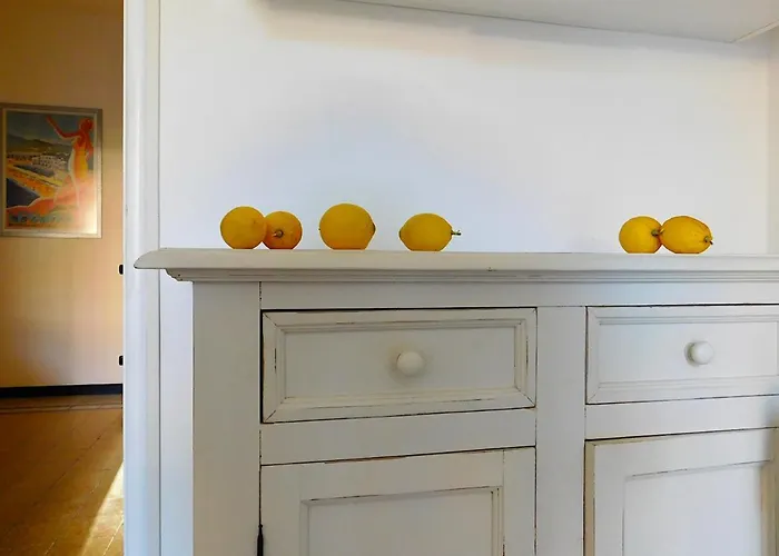 Welcome To Alma's House, 아파트